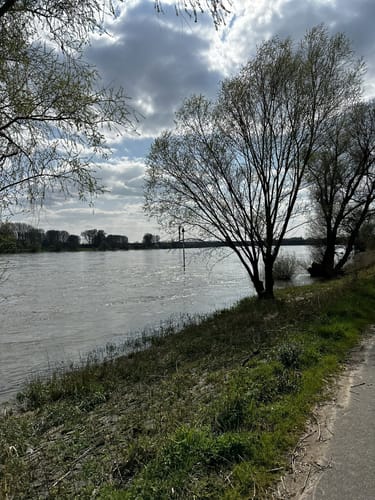 Baerler Busch ab Uettelsheimer See