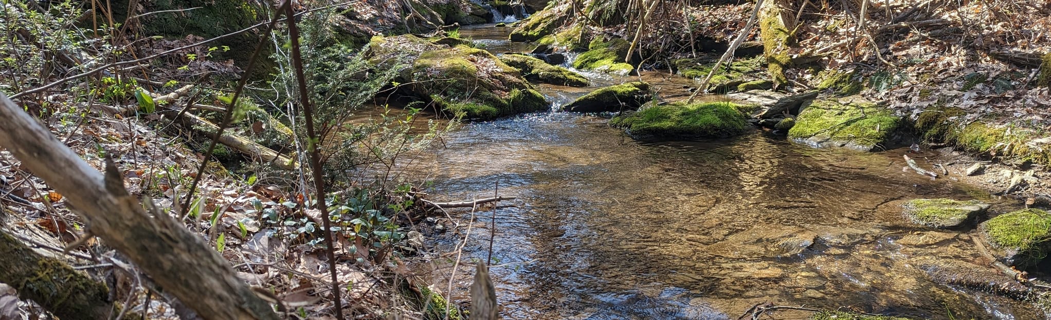 Martic Township Park Loop 163 Reviews, Map Pennsylvania AllTrails