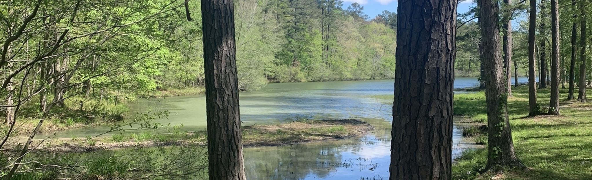 Rattlesnake Ridge to Lake Trail Loop 136 Reviews, Map Alabama AllTrails