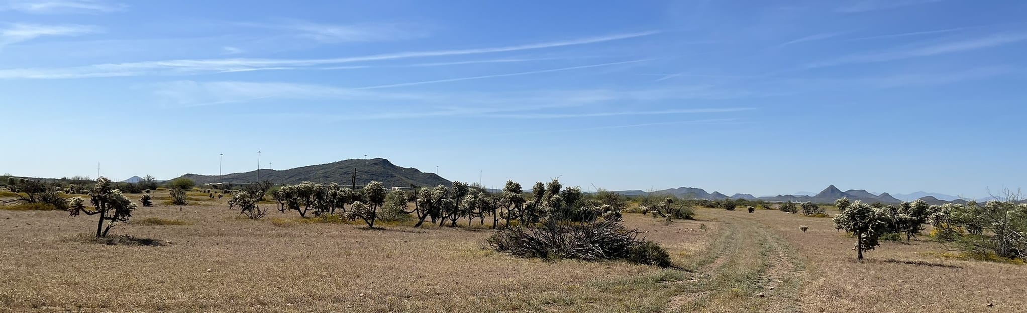 Black Canyon Trail to Emery Henderson Trailhead, Arizona 29 Reviews