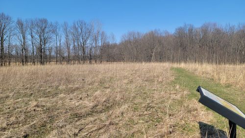 Best Hikes and Trails in Saul Lake Bog Nature Preserve | AllTrails