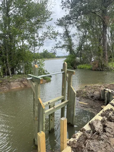 Coastal Wonders: 5 Beautiful Hiking Trails in Georgetown – South Carolina