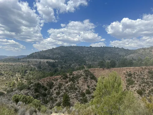 2023 Best Wild Flowers Trails in Villar del Arzobispo AllTrails