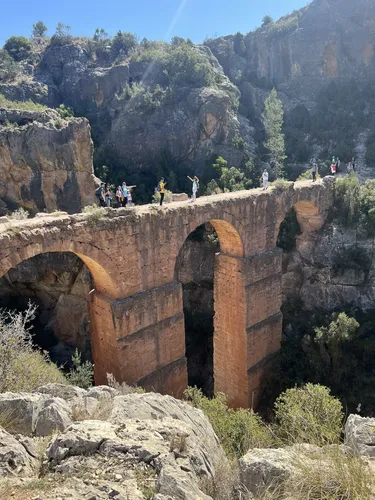 2023 Best Wild Flowers Trails in Villar del Arzobispo AllTrails