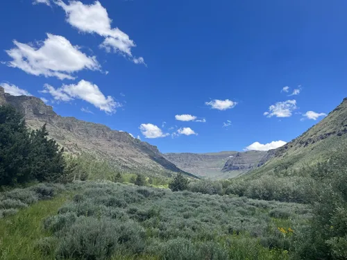 Steens mountain store wilderness