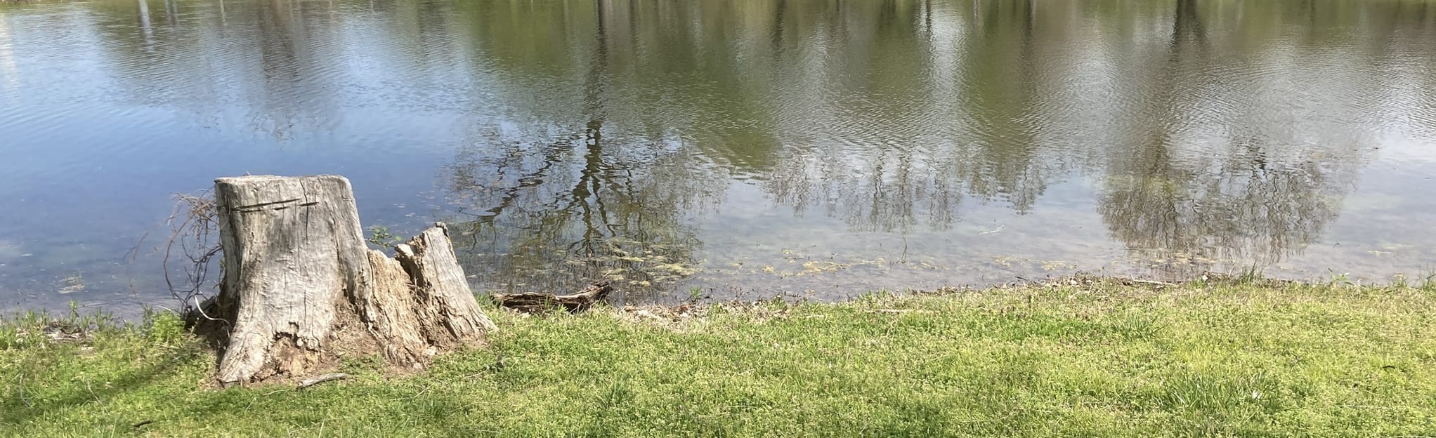 Kelly Lane Park Loop 66 Reviews, Map Oklahoma AllTrails