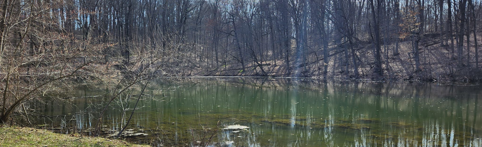 DeLano Farms Source Pond Loop, Michigan 45 Reviews, Map AllTrails