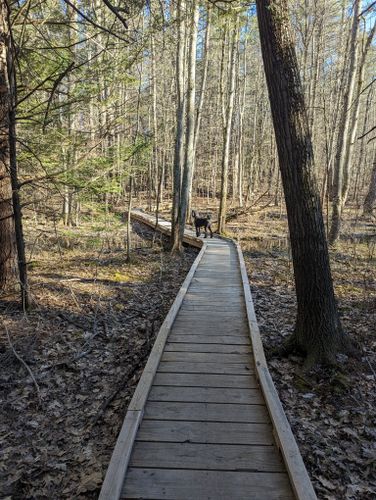 Best Hikes and Trails in Piscassic Greenway | AllTrails