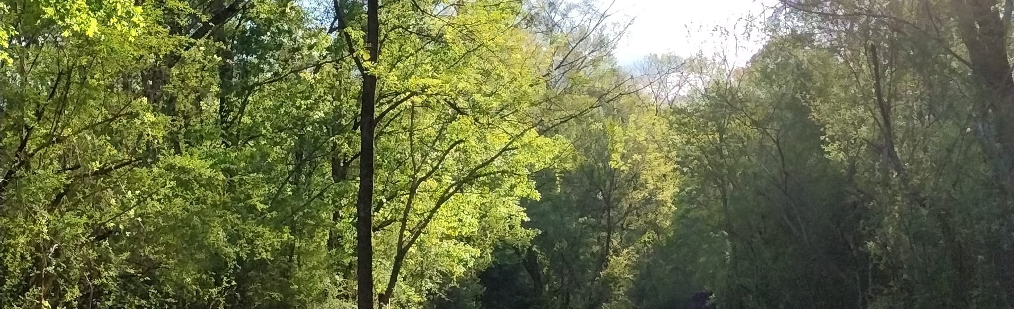 AllTrails Warrior Park to Buck Creek Park via Buck Creek Trail 96