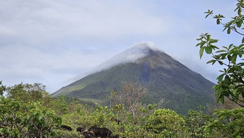 2023 Best Kid Friendly Trails in Arenal Volcano National Park | AllTrails