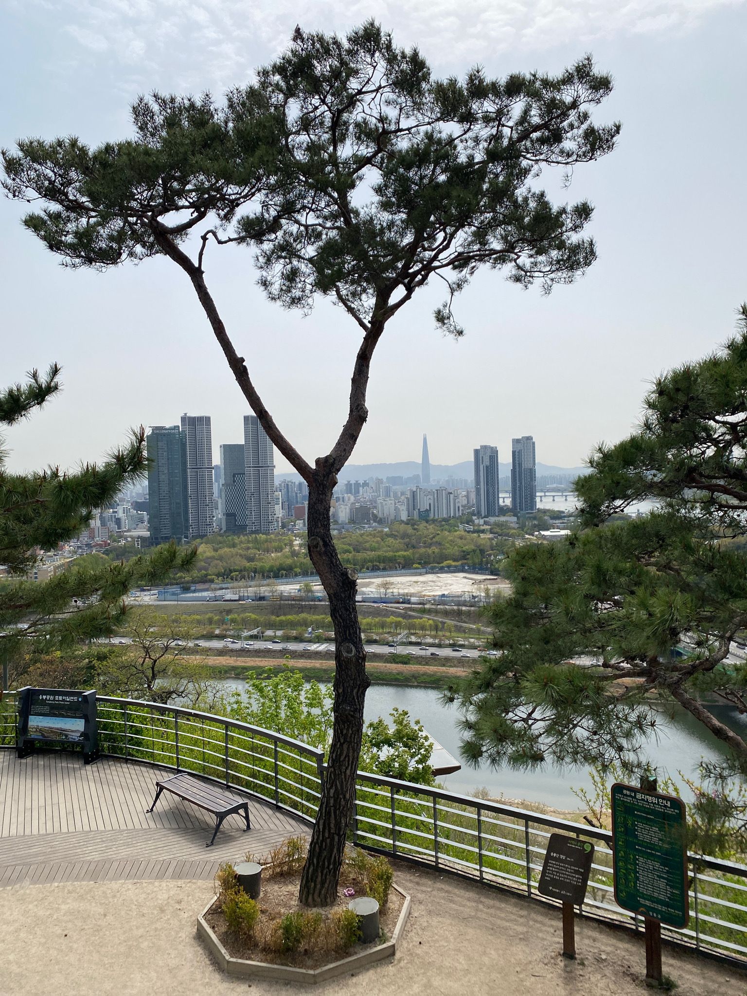 Photos of 응봉산 근린 공원 - Seoul, South Korea | AllTrails