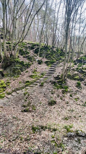 Dünnbach-Pfad (Traumschleife)