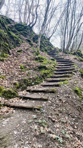Dünnbach-Pfad (Traumschleife)