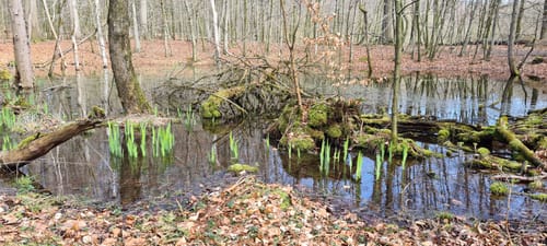 Rund um Felm