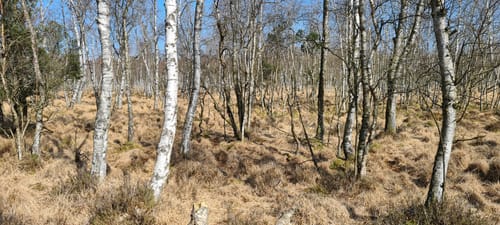 Rund um Felm