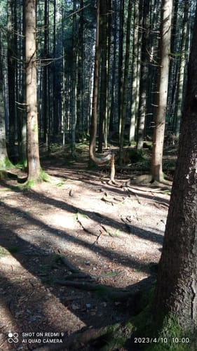 Eine Reise in die Steinzeit