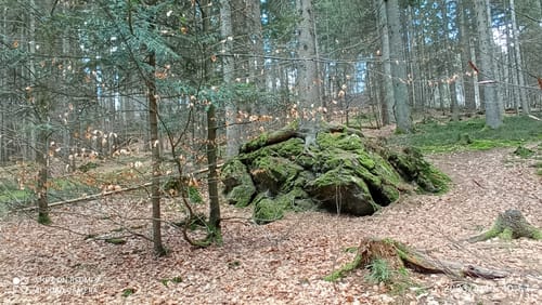 Eine Reise in die Steinzeit