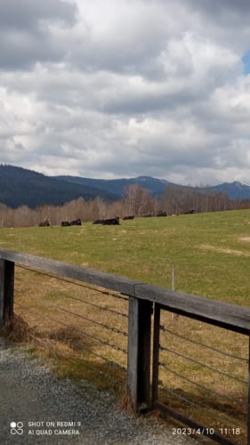 Eine Reise in die Steinzeit