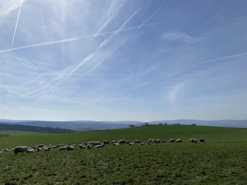 Hasenberg und Michelbachtal