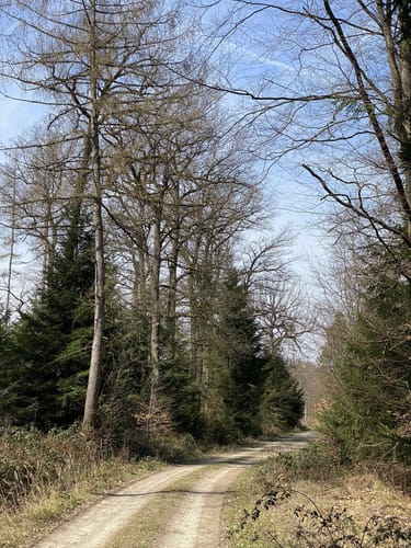 Lohfelden-Vollmarshausen Rundweg 20