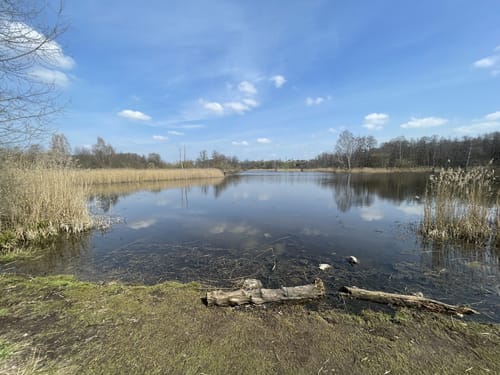 Tegeler Fließ ab Hermsdorf