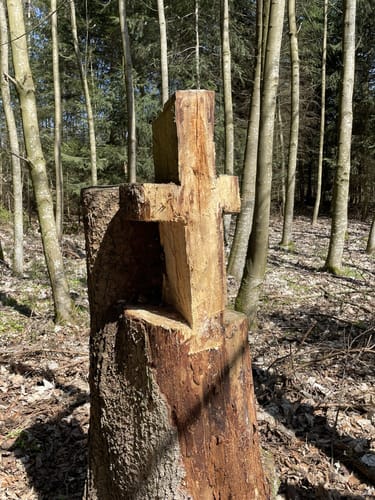 Durch den Altowald zu den Ilmquellen