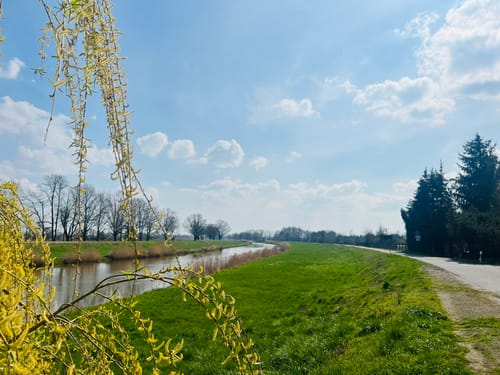 Mountainbiketour um Bad Liebenwerda