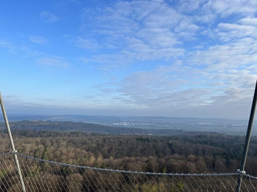 Waldseilgarten und Eiche am alten Rain ab Naturfreundehaus Herrenberg