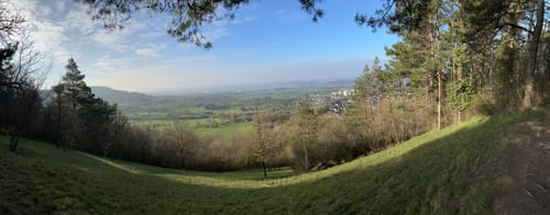 Waldseilgarten und Eiche am alten Rain ab Naturfreundehaus Herrenberg