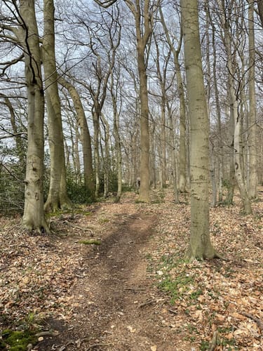 Hofhölzung Runde