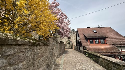 Rundwanderweg Lindenfels 6: Erlebniswanderweg Lindenfels