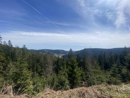 Buhlbach Rundwanderung