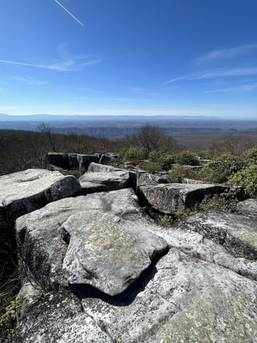 The Channels State Forest Die besten Routen in 2023 AllTrails