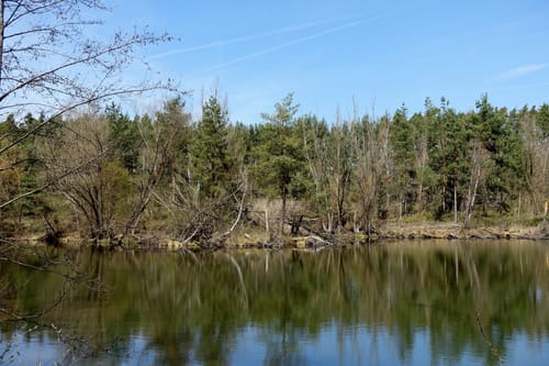 Mandlesmühle - Pleinfeld - Heiligenwaldsee