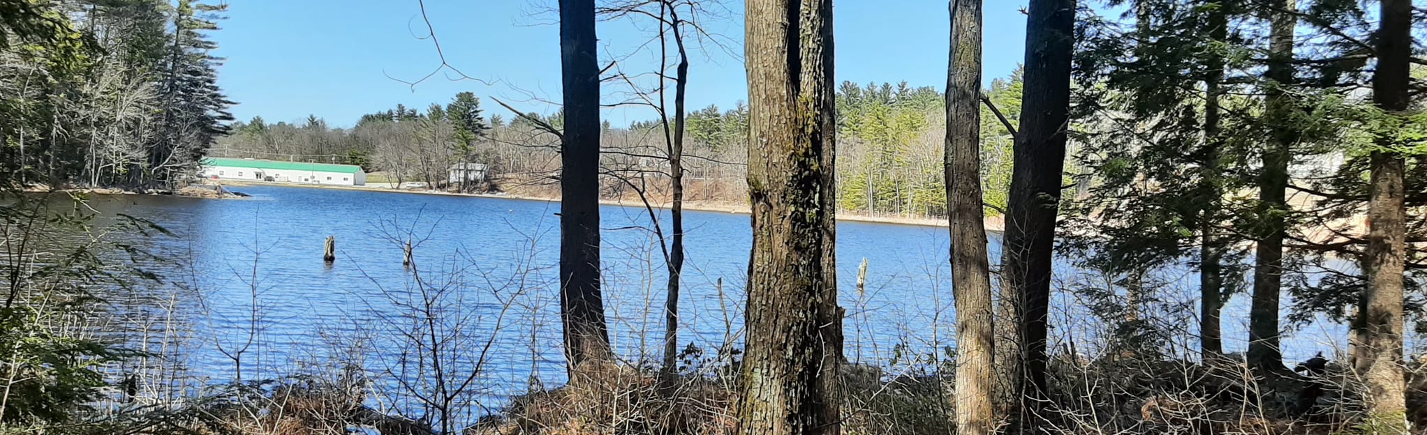 Conservation Commission Lands and Bow School Wildlife Loop 88 Reviews