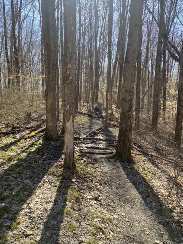 2023 Best trails in Monkey Run Natural Area | AllTrails