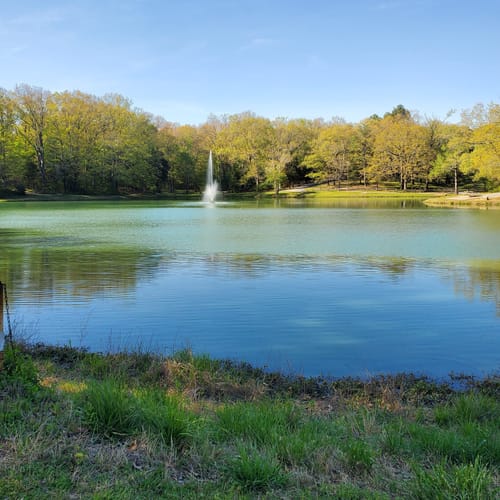 Best Hikes and Trails in International Harvester Managerial Park