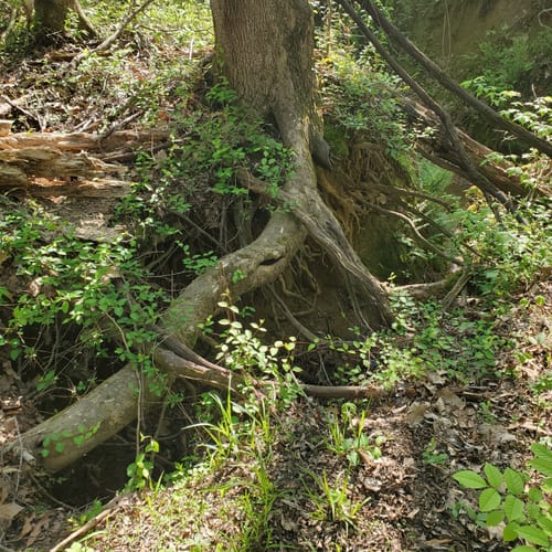 Best Hikes and Trails in International Harvester Managerial Park