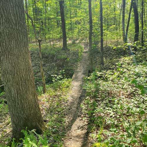 Best Hikes and Trails in International Harvester Managerial Park
