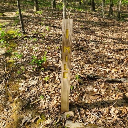 Best Hikes and Trails in International Harvester Managerial Park