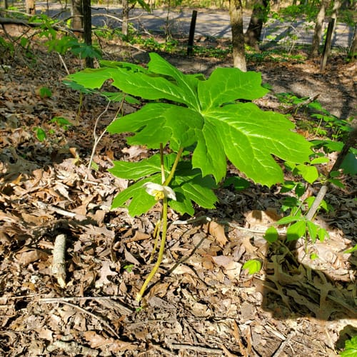 Best Hikes and Trails in International Harvester Managerial Park