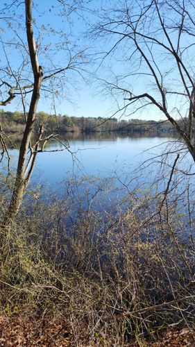 2023 Best Trails In Killens Pond State Park Alltrails