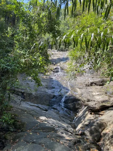 Best Hikes and Trails in Khao Lak-Lam Ru National Park | AllTrails