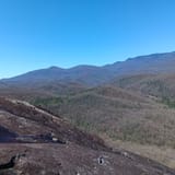 Butter Gap to Cat Gap Trail , North Carolina - 461 Reviews, Map | AllTrails