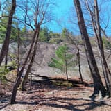 Butter Gap to Cat Gap Trail , North Carolina - 456 Reviews, Map | AllTrails