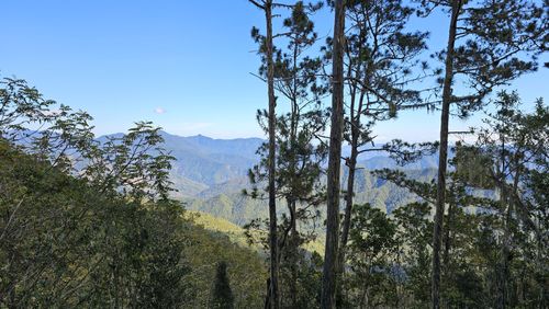 2023 Best Long Trails in Jose Armando Bermudez National Park | AllTrails