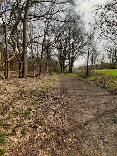 Wald bei Kessel und entlang der Niers