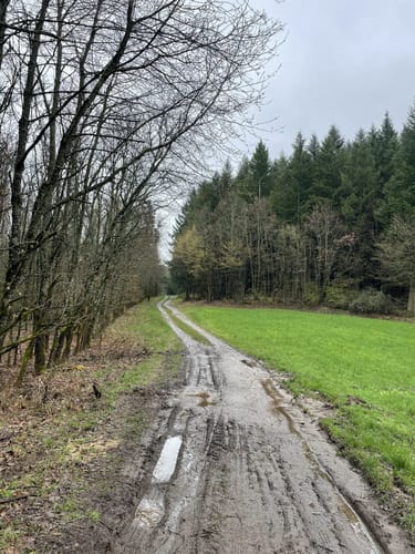 Zweiburgen-Extratour (Premiumwanderweg)