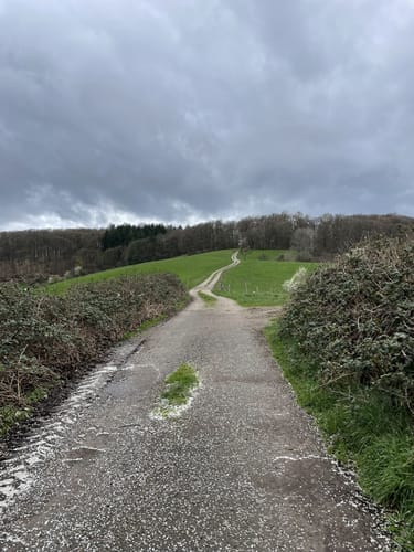 Hohensachsen, Geiersberg, und Hindenburgweg