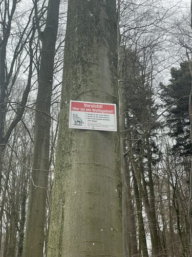 Hohensachsen, Geiersberg, und Hindenburgweg